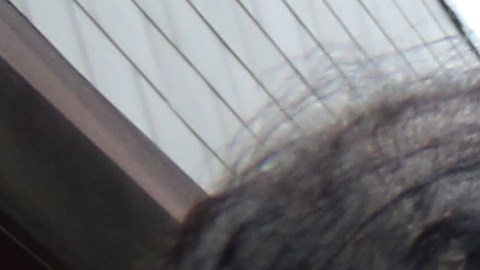 Asambleista Catalina Cruz charla con los inmigrantes James Garcia y Leocadia Flores. Projecto de ley para impulsar el seguro médico para inmigrantes sin papeles.