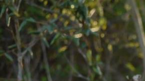 Sesión de fotos para ayudar con el divorcio.