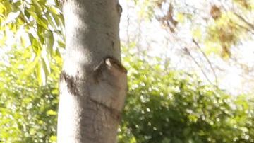 Kimberly Castro, de 18 años, voto por primera vez en la sede de la Registradora de Registro del Condado de Los Ángeles en Norwalk. Más de 400 estudiantes de LAUSD viajaron en autobús para asistir a una fiesta de Ready to Vote organizada por Power California en el 2018.