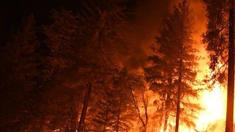Los incendios de los últimos años han sido catalogados como los más destructivos y mortíferos en la historia del estado.