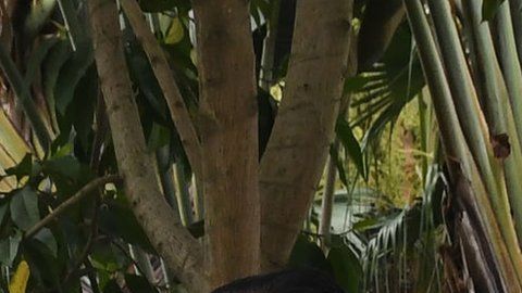 Kim Jong-un y Donald Trump no llegaron a ningún acuerdo.