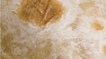 106308198_gettyimages-153560733