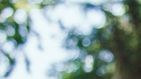 ¿Qué provoca la magia en nuestro cerebro que la hace tan atractiva?