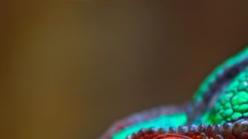 106347477_comp_getty