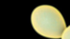 Casi la mitad de los pacientes fallecen en unos 90 días.