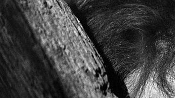 106464471_gettyimages-108093127