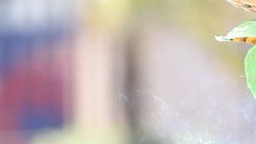 Cuba está en el centro de un enfrentamiento entre Estados Unidos y la UE.