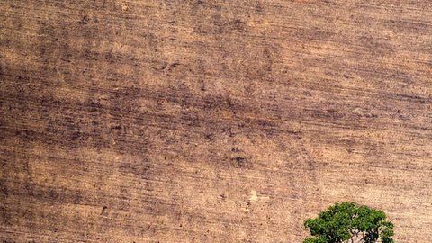 La cuenca del río Amazonas es una de las zonas más afectadas del mundo.