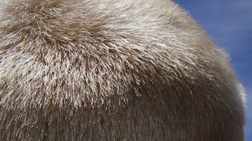 Los Boy Scouts tienen una trayectoria de más de un siglo.