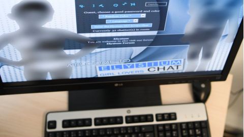 Cuatro de cada cinco páginas estaban alojadas en Europa.