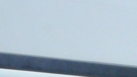 Los inmigrantes reconocen que fueron engañados por traficantes de personas.