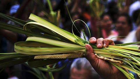 Domingo de Ramos