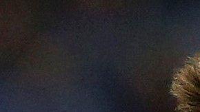 El mexicano Héctor Herrera busca con el FC Porto el campeonato en Portugal.