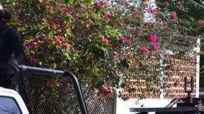 Aumentan los índices de violencia en México.