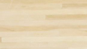 Los Toronto Raptors llegan a las semifinales de la NBA de la mano de Serge Ibaka.