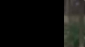 La mujer intentó grabar el altercado.