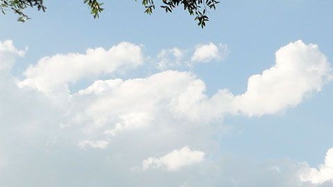 La demanda solicita un pago retroactivo, la recuperación de beneficios perdidos y otros tipos de compensaciones económicas.