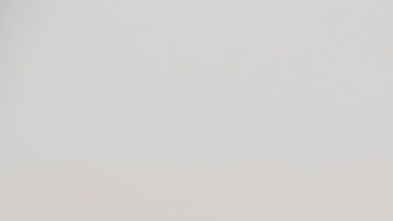 Al parecer, algunos empleados de Amazon tendrían la capacidad de localizar la ubicación de un cliente que use Alexa.