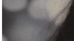 Alora Benítez, de 15 años, desapareció junto a dos personas sospechosas del asesinato ocurrido en Carson el 16 de abril.