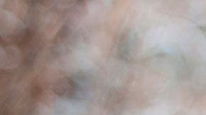 En cualquiera de estos empleos podrías estar rodeados de los seres que más te gustan.