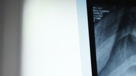 anatomy-3003099_1920