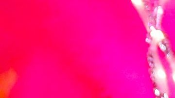 Ashley Benson y  Cara Delevingne