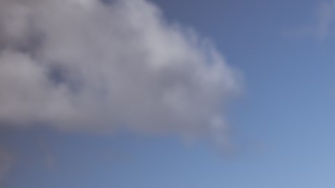 angeles