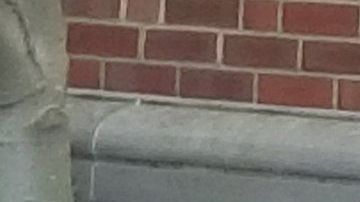 Los republicanos compartieron la foto de Yarmuth con la figura de cartón de AOC.