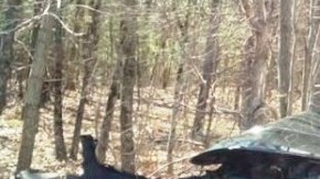 El auto tras la colisión