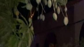 Asesinan en ataque a pintor Héctor Armando Domínguez Rodríguez en San Luis Potosí