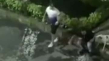 El hecho se reportó en Sabaneta, Colombia.