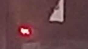 En el incidente, reportado en Jackson Heights, no hubo heridos.