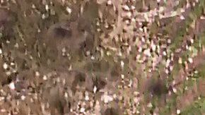 La avioneta cayó en un rancho cercano.