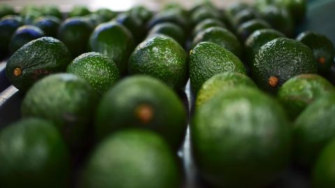 El aguacate de Michoacán atrae la codicia de los narcos.