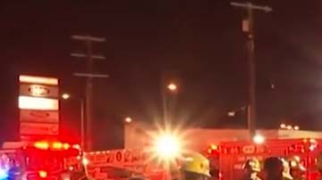 Los motivos de la estampida se desconocen.