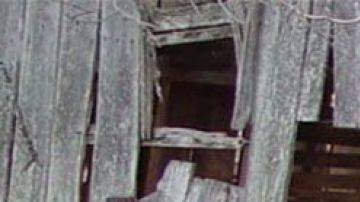 Ford Mustang Shelby GT500 1968