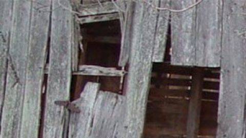 Ford Mustang Shelby GT500 1968