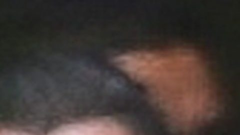 Demian Bichir