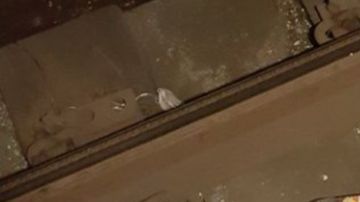 La botella en plena vía, en Brooklyn