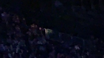 Los Nets siguen en la lucha por los playoffs.