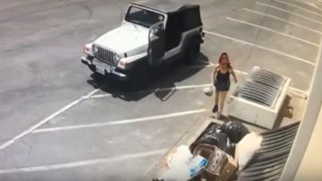 Un video muestra cómo la mujer tiró los cachorros a la basura.