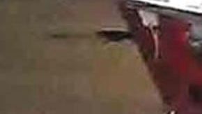 La pareja fue asesinada de un tiro en la cabeza.