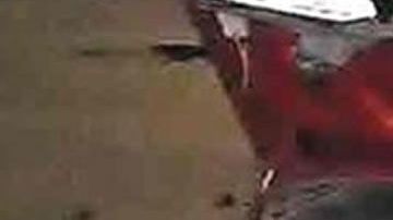 La pareja fue asesinada de un tiro en la cabeza.