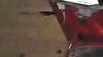 La pareja fue asesinada de un tiro en la cabeza.