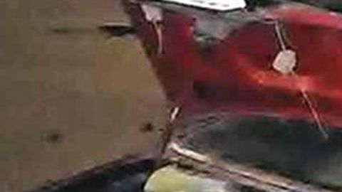 La pareja fue asesinada de un tiro en la cabeza.