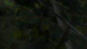 La nueva caravana inició su recorrido el pasado miércoles desde el norte de Honduras.