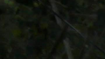 La nueva caravana inició su recorrido el pasado miércoles desde el norte de Honduras.