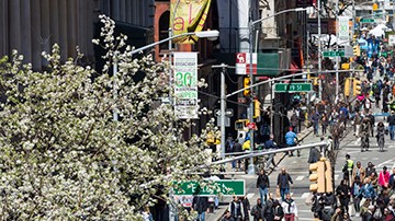 Un sábado sin automóviles en varias zonas