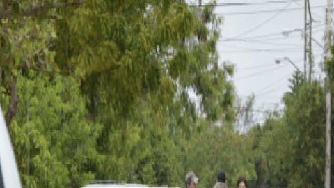 Mujeres Cártel del Noreste CDN