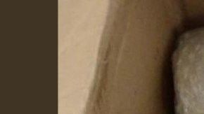 La droga fue decomisada por la Policía Federal.